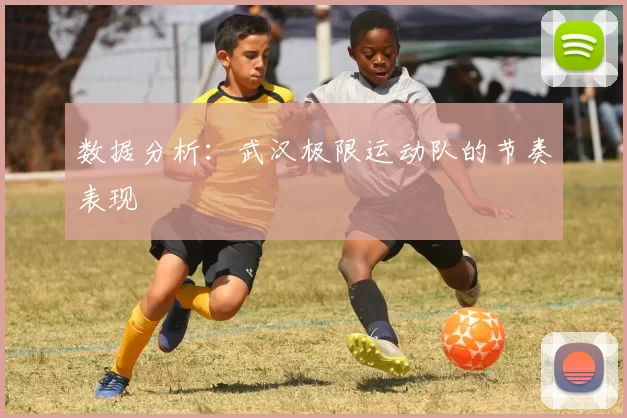 数据分析：武汉极限运动队的节奏表现