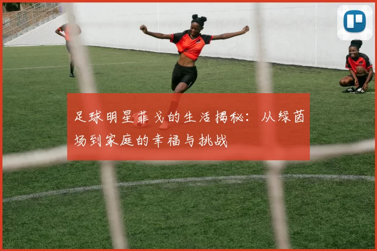 足球明星菲戈的生活揭秘：从绿茵场到家庭的幸福与挑战