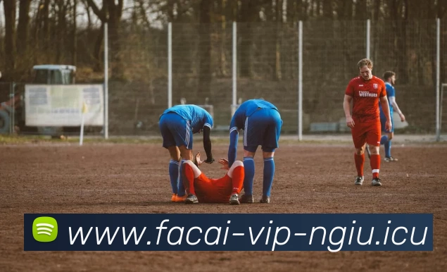 爱游戏体育平台生态图